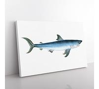 Porbeagle Shark By Edward Donovan Vintage Canvas Wall Art Print Ready to Hang, Framed Picture for Living Room Bedroom Home Office Décor, 76x50 cm (30x20 Inch)