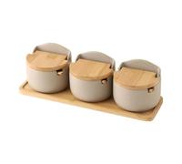Porcelain Condiment Jar, Spice Container with Tray, Ceramic Seasoning Jar with Serving Spoon and Lid, Spice Sugar Ceramic Condiment Pot(Style 3)