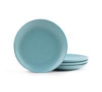 Porcelain Dinner Plates Set of 4 - Green 25.5cm
