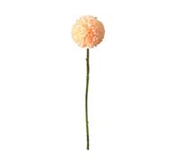 Porceosy Artificial Bloom Decoration Realistic Fake Flower Dandelion with Stem Lifelike Silk Floral Arrangement for Home Wedding Party Indoor Outdoor Garden Champagne