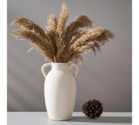 PORCER Ceramic Vase, 9.84 Inch Terracotta Vase with Handles, Boho Decor Decorative Vase, Rustic Vase for Home Decor, Farmhouse, Living Room, Table - Beige