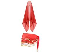 Porch Geese Outfits, Porch Statues - Belly Dance Veil Porch Duck with Sequin Scarf | Funny Decorative Seasonal Clothes, Animal Statues Dress Accessories for the