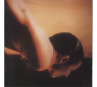 PORCUPINE TREE - On the Sunday of Life