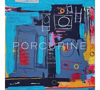 Porcupine What You've Heard Isn't Real (Vinyl) 12" Album