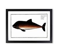 Porpoise by M.E. Bloch Framed Print | A2 Black Framed Wall Art | Ready to Hang | Modern Nature Picture | Living Room Bedroom Lounge Office