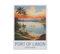 Port of Limon Costa Rica ， Beach，Tin Sign Vintage Metal Signs Iron Painting Retro Metal Tin Sign Plaque Poster Garden Wall Art Plaque for House Bathroom Kitchen Cafe (15x30cm）-DV95