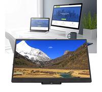 Portable 1080P Monitor 17.3 Inch IPS HDR HD Multimedia Interface Type C External Display for Gaming Console (Black)