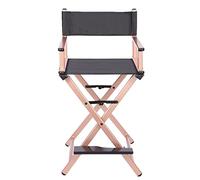 Portable Aluminum Makeup Artist Chair - Foldable Director's Chair in Slish Rose d - Lightweight, Cact, Ideal for Beau Professals, Photography & Events