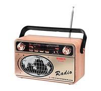 Portable Bluetooth FM AM SW Stereo Radio, Support USB Disk, USB/TF Card, AUX Jack - Music Playing with Rechargeable Battery, Built-in Speaker, Great (R-503BT)