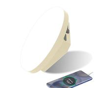 Portable Camping Lantern 9900 mAh Power Bank, 2000LM Tent Lamp Rechargeable, IP65 Water Resistant LED Lamp for Camping, Work, Hunting, Fishing, Hiking, Emergency, Breakdown