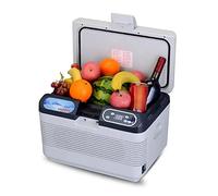 Portable Car Refrigerator 12L, 28° to 65°C Mini Fridge Cooler, Compact RV Fridge Cooler With Shoulder Strap and Operating Panel, for Vaccine Sperm Biospecimens Transport
