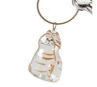 Portable Cat Hair Bottle - Clear Small Storage Bin, 1.77 Inches Pet Container Accessory, Simple Application Supplies Aid, Strong Burial Travel Outdoor Tool, Premium Quality for Sympathy Friends Family