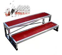 Portable Choral Risers, 2-Tier Standing Steps for Classroom and Church, Ideal for Singing Groups and Photo Podiums