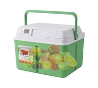 Portable Cooler - 5L Insulated Leakproof Ice Chest | Portable Thermal Storage Box for Drinks and Food | For Car, Hiking, Office, Truck, Travel, Sports, Marine, Golf, Road Trip, Work