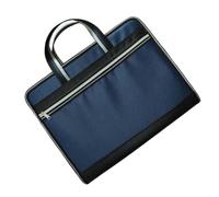 Portable Document Organizer with 13 Separate Storage, Blue | Dedicated Pockets for Different Paper Groups, Carry-Ready Handled Format, Organized Documents Between Locations