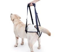 Portable Dog Sling for Back Legs, Adjustable Pet Mobility Aid，Pet Rear Leg Support Brace,Hip Support Harness to Help Lift Dogs Rear for Helps Senior and After ACL Surgery (Blue, M)