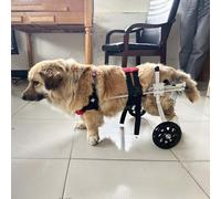 Portable Dog Wheelchair for Hind Legs - Lightweight Adjustable Pet Mobility Aid for Dogs & Cats Support for Disabled Pets Easy to Use Size XS (Red)