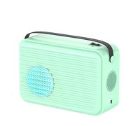 Portable Dryer 600W Electric Laundry Dryer Super Quiet Mini Dryer Big Clothes Bags and Warm Shoe Expansion Tube Drying Rack for RV Travel Home Dorms Fast Heating and Quick Drying (Green)