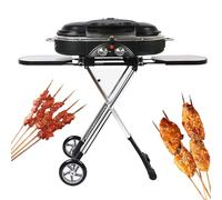 Portable Dual-Burner Gas Grill, Compact BBQ with Built-in Thermometer, Collapsible Design for Camping and Backyard Use, Easy Setup and Cleanup