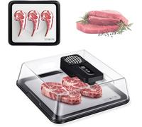 Portable Electric Meat Defrosting Tray, 4.2L Thawing Board with LCD Panel and Visual Lid, Timed Cooling for Frozen Steak, Chicken, Fish, Fast Thawing Solution