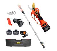Portable Electric Pruner with Reach Extension Pole and Chain Saw for Tree Branch Cutting and Bonsai Pruning