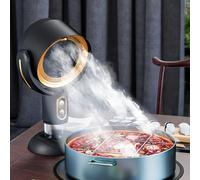 Portable Extractor Fan, Puff Chill Fan for Smoking, High fan for Smokers Indoors, Smoke Purifier, High Fan Smoke Away Purifier Fan, Portable Countertop Kitchen Exhaust Fan Gold