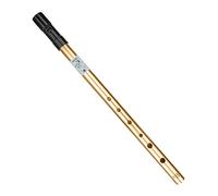 Portable Flute Whistling Music Instrument Tin Whistle for Beginners Kids 37 cm Aureate
