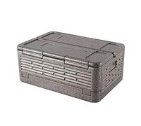 Portable Foldable Insulation Box for Car Camping, Convenient Mini Cooler for Storage and Travel, Keeps Food Cold