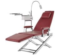 Portable Folding Dental Chair with LED Light, Stainless Steel Adjustable Recliner with Tray & Spittoon for Hospitals and Beauty Parlours, Easy to Use