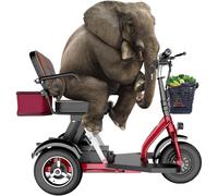 Portable Folding Mobility Scooter, Foldable Lightweight 3-Wheel Mobility Scooter, Comfortable Seat, for Seniors with Charger And Basket, Contains 25AH Lithium Battery A,001,10A