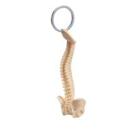 Portable Human Spine Skeleton Keychain Resin Anatomy Model Keyring Classroom Education Unique Doctor Human Spine Keychain, フリーサイズ