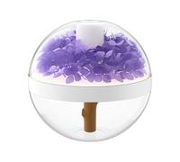 Portable Humidifier, Preserved Flower USB Humidifier, 270ml Capacity Air Hydration Purifier with Night Light, USB Rechargeable Mist Diffuser for Travel, Living Room, Plants, Bedroom, Home