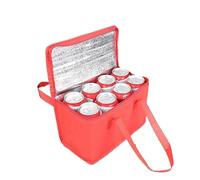 Portable Insulated Lunch Cooler Bag | Folding Thermal Picnic Ice Pack and Drink Carrier for Beer Delivery for Food & Grocery Delivery Bag Hold(Large Red)