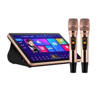 Portable Karaoke Machine, 18.5-inch Touch Screen, 500G, with Wireless Microphone And Reverb, Power Amplifier, Support for Wireless WiFi And Wired Network, Multiple Languages,3T