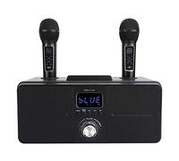 Portable Karaoke Machine, Versatile Wireless Stereo Bluetooth Speaker with 2 Wireless Microphones, Built-in Rechargeable Singing Machine for Kids and Adults, Outdoor and Indoor (Black)