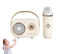 Portable Karaoke Multifunctional Professional Portable