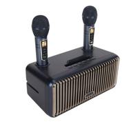 Portable Karaoke Speaker with 2 Wireless Mics, Type-C Charging | Dual Mic Party System, Bluetooth Streaming, UHF Wireless Connection, For Singing at Home