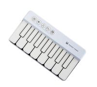 Portable Kids Piano Learning Instrument Safe Music Toy for Children to Enhances Auditory Visual Abilities Through Play Early Learning Music Toy