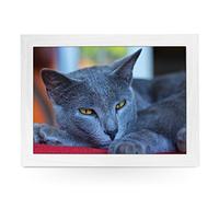 Portable Lap Desk Tray (Chartreux Cat) Handmade Wooden Frame, Beanbag Cushioned Bottom | Computers, Laptops, Meals, Food | L0020 White