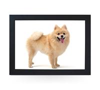 Portable Lap Desk Tray (Pomeranian Dog) Handmade Wooden Frame, Beanbag Cushioned Bottom | Computers, Laptops, Meals, Food | L0124 Black