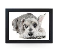 Portable Lap Desk Tray (Schnauzer Dog) Handmade Wooden Frame, Beanbag Cushioned Bottom | Computers, Laptops, Meals, Food | L0146 Black