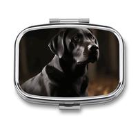 Portable Medicine Case 2 Compartment Medicine Box Black Labrador Cute Medicine Organizer Travel Pill Box for Pocket & Purse Portable Vitamin Medication Box Unique Travel Gift