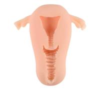Portable Multifunctional Durable Soft Glans Penis Exerciser Pussy Doll Cup Male Sex Toys