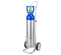 Portable Oxygen Tank Cart on Wheels, Rolling Cylinder Carrier for Gas, Nitrogen, Acetylene Bottles, Storage Rack for Clinics and RVs, Holds up to 20L