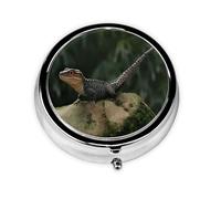 Portable Pill Box_Dinosaur 3 Compartment Medicine Pill Case Holder, Cute Travel Daily Pill Case, Round Small Medicine Organizer Travel Pillbox for Purse & Pocket