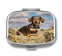 Portable Pill Case Dachshund Dog Printed Small Pill Box Portable Pill Container Holder to Hold Vitamins Medication Fish Oil and Supplements