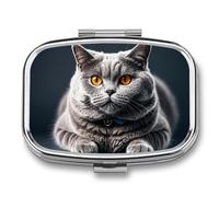 Portable Pill Organizer A Gray Cat is Lying Small Pill Box 2 Compartment Medicine Vitamin Organizer Travel Medicine Organizer with Mirror & Button Closure Cute Medication Case for Purse