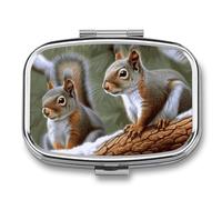 Portable Pill Organizer Little Squirrel Small Pill Box 2 Compartment Medicine Vitamin Organizer Travel Medicine Organizer with Mirror & Button Closure Cute Medication Case for Purse