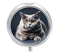 Portable Pill Organizer Small Pill Box A Gray Cat is Lying 3 Compartment Medicine Vitamin Organizer Travel Medicine Organizer with Mirror & Button Closure Cute Medication Case for Purse