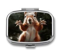 Portable Pill Organizer Squirrel Funny Animal Small Pill Box 2 Compartment Medicine Vitamin Organizer Travel Medicine Organizer with Mirror & Button Closure Cute Medication Case for Purse